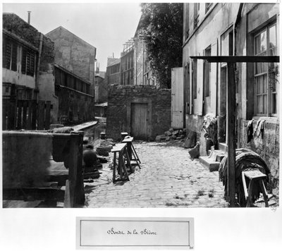 Banks of the Bievre, Paris, 1858-78 by Charles Marville